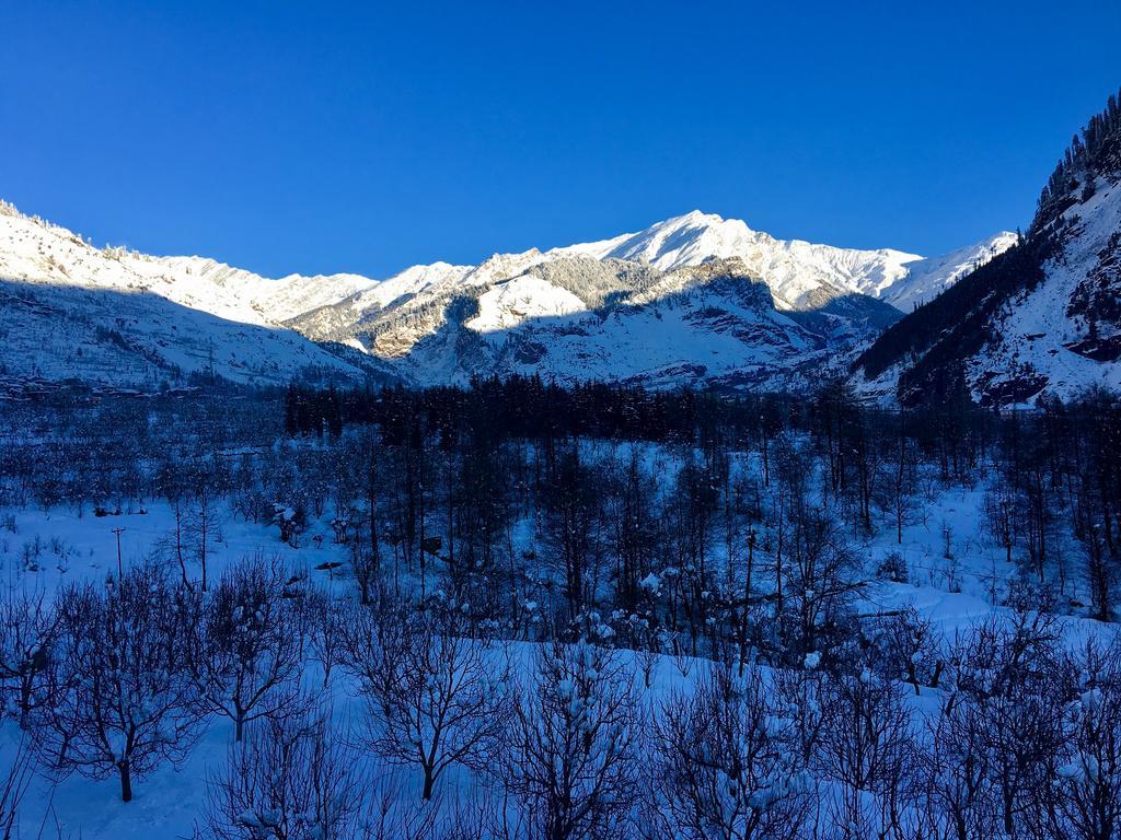 Vyas Vatika 3* Manali (Himachal Pradesh)